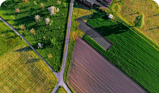 Harnessing Proprietary ESG Ratings for Informed Investment Decisions